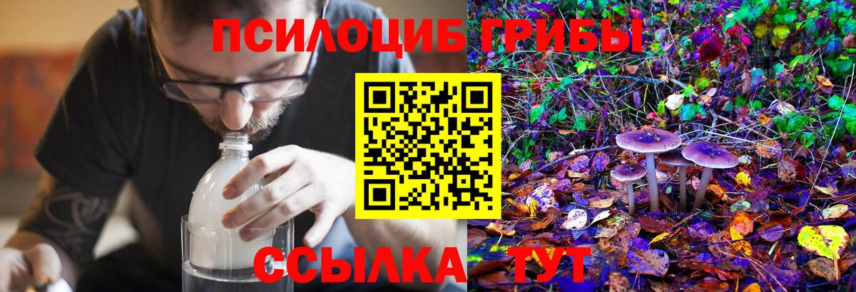 Галлюциногенные грибы мицелий Тула
